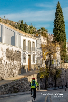 foto378-25-Genteel-Home-carmen-san-ignacio-i-granada-20191119-142946.jpg